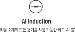 AI Induction