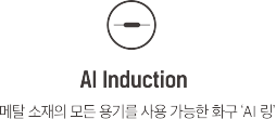 AI Induction