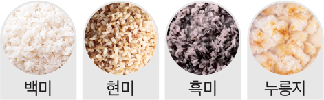 쌀 종류